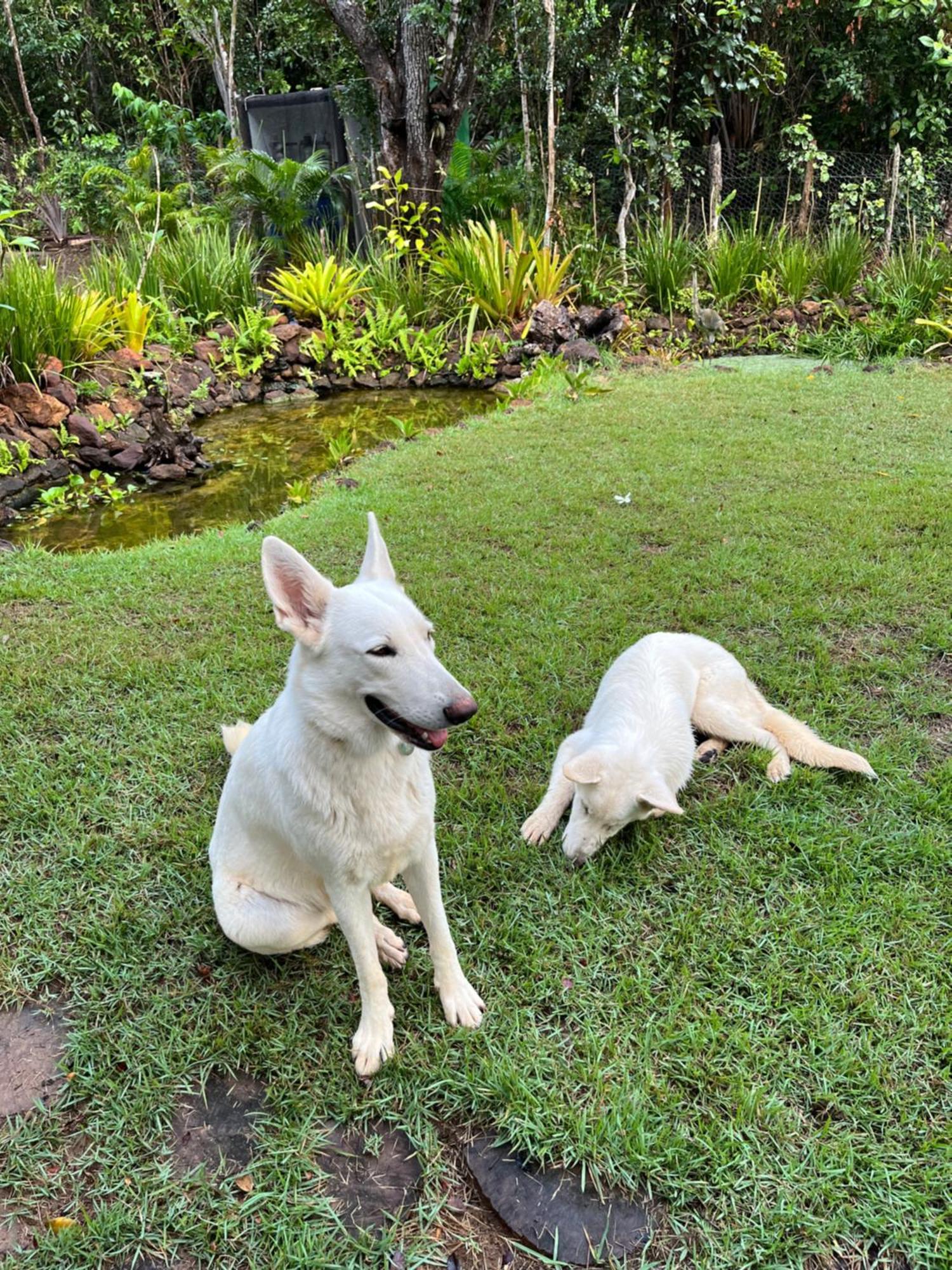 Quinta Do Sossego Hotel Mata de Sao Joao Kültér fotó